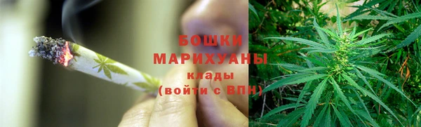 ГАЛЛЮЦИНОГЕННЫЕ ГРИБЫ Белокуриха