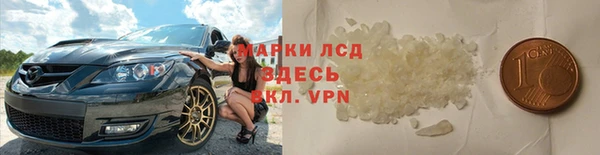 ГАЛЛЮЦИНОГЕННЫЕ ГРИБЫ Белокуриха